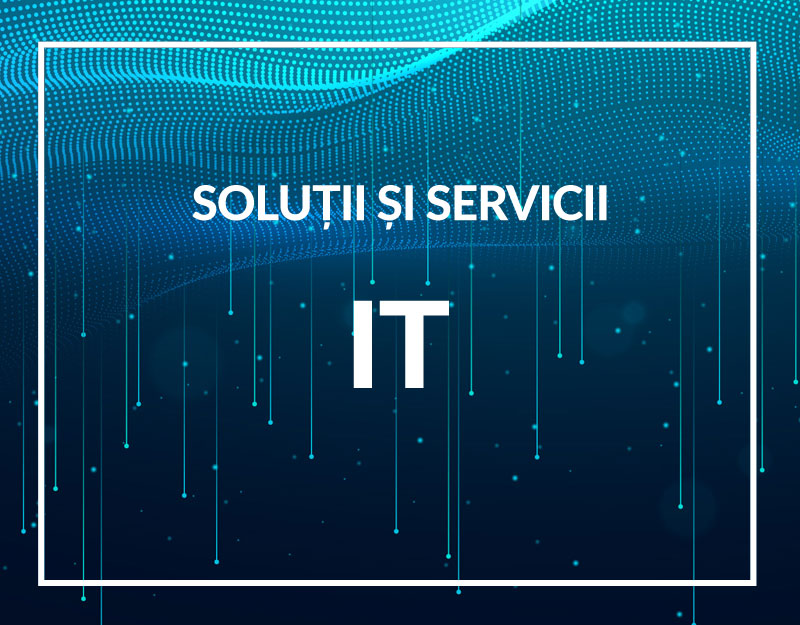 Servicii IT